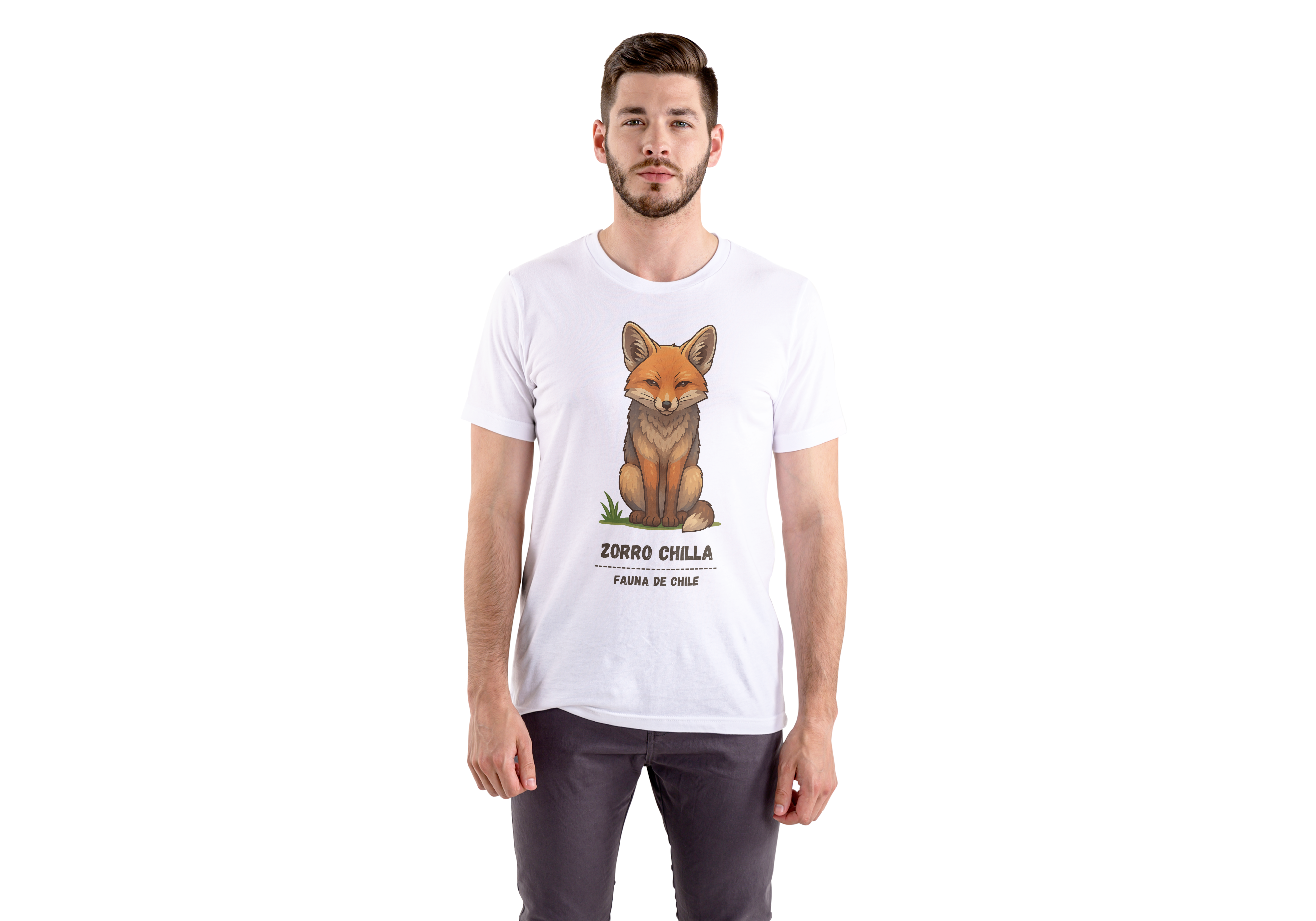 Polera Zorro Chilla sentado